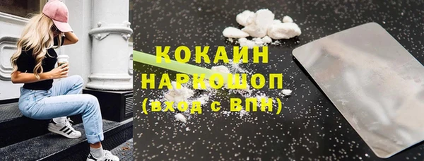 дмт Бородино