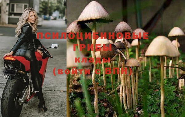 дмт Бородино